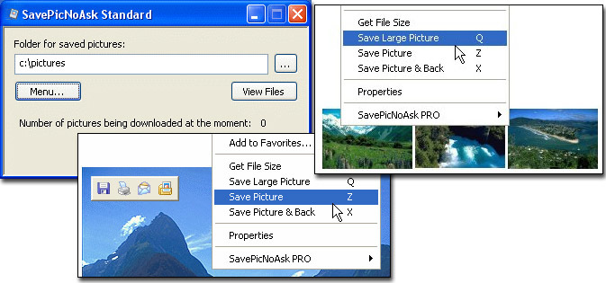SavePicNoAsk Standard Screenshot